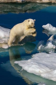 national geographic