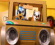 Čoskoro budeme môcť streamovať štyri nové seriály Bluey