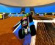 Roblox zvyšuje otáčky motorov pre návrat Monster Jam