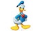 Káčer Donald