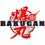 Prichádza nový seriál s názvom Bakugan: Evolutions
