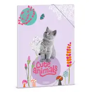Ars Una: Cute Animal Mačacia gumičková zložka A4