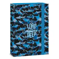 Ars Una: Pán hlbín zošitový box A/4