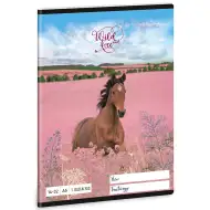 Ars Una: Wild and Free jazdecký linajkový zošit pre 1. ročník A/5