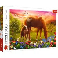 Kone na lúke 500-dieliková puzzle - Trefl