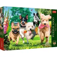 Kutyabrigáda 1000-dieliková prémiová puzzle - Trefl
