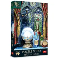 Lisa Parker: Čarodejný učeň 1000-dielne prémiové plus puzzle - Trefl