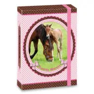 Školský box na zošity My Horse A5