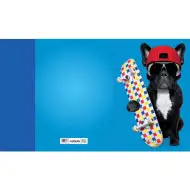 Nebulo: Gumená zložka A4 s motívom skateboardového buldoga