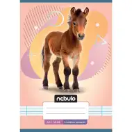 Nebulo: Zošit s linajkami pre 1. ročník A5 14-32 Zvieratá - Kone
