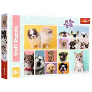 Pes priateľstvo 160ks puzzle - Trefl