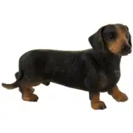 Apollo krátkosrstý jazvečík figúrka - Bullyland