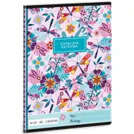Ars Una: Catalina Estrada Vážka linajkový zošit pre 2. ročník  A/5 16-32