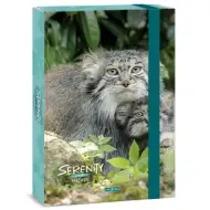 Ars Una: Serenity Manul box na zošity so 4cm hrúbkou