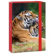 Ars Una: Serenity Tiger box na zošity A4 so 4cm hrúbkou