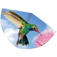 Kolibrík šarkan