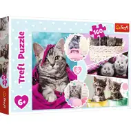 Milé mačky 160 dielne puzzle - Trefl