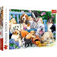 Psy v parku 1000 ks puzzle - Trefl