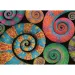 Colorboom: Puzzle s chameleónmi 500 ks - Clementoni