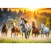 Divoké kone 1500-dielikové puzzle - Trefl