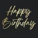 Elegantné narodeninové papierové servítky s nápisom "Happy Birthday" – 2-vrstvové, 33x33 cm, 20 ks