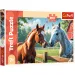 Kone na lúke 200-dielne puzzle - Trefl