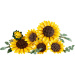LEGO® Botanicals: Kytica slnečníc (11502)