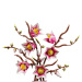 LEGO® Botanicals: Vetvy magnólie (11510)
