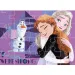 Luna: Frozen 4 v 1 puzzle set