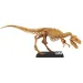 Luna: Obrí archeologická sada T-Rex 40 cm