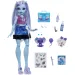 Monster High Starostlivosť o príšery Abbey Bominable bábika s doplnkami - Mattel