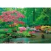 Peace puzzle: Utišujúce dažďové kvapky 500-dielne puzzle - Clementoni