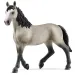 Schleich: Figúrka kobyly plemena Selle Français (13955)
