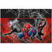 Spider-Man a jeho tím plastový obrus 120 x 180 cm