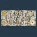 Starožitné astronómie puzzle 9000 dielikov UFT - Trefl