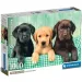 Tri malé labradory 1000-dielna HQC puzzle s plagátom - Clementoni