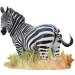 WOW zebra puzzle 1000 ks