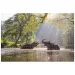 Animal Planet: Slony v jazere 1000-dielne puzzle
