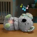 Fisher-Price: Spacia koala plyšové zviera s hudbou - Mattel