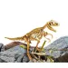 I'M Genius: Tyrannosaurus Rex dinosaurus archeologická súprava s nástrojmi