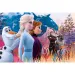 Ľadové kráľovstvo 2: Čarovné cestovanie 24 ks Maxi puzzle - Trefl