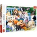 Psy v parku 1000 ks puzzle - Trefl