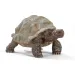 Schleich: Figúrka obrovskej korytnačky (14824)