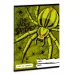 Zošit na slovíčka The Wolf Spider A5